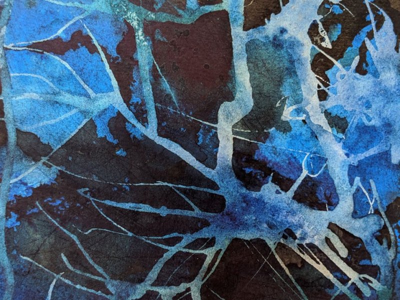 Peinture aquarelle de branchages bleus sur fond noir